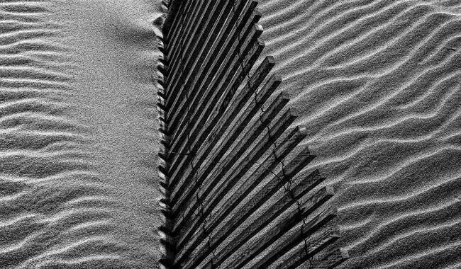 Beach House Paulo Abrantes 