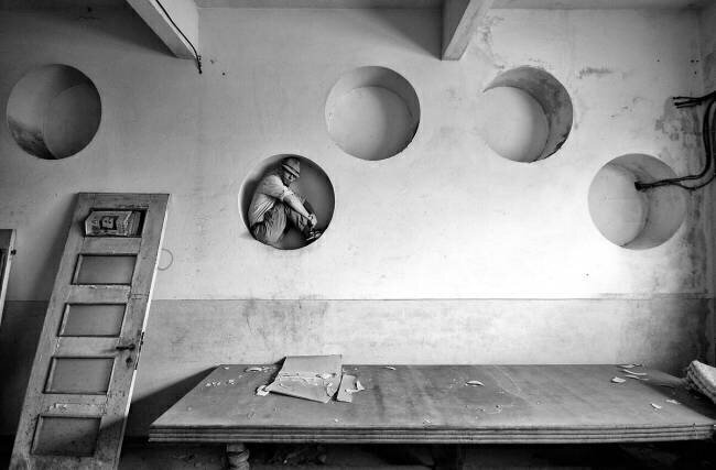 Beehive Carlo Ferrara