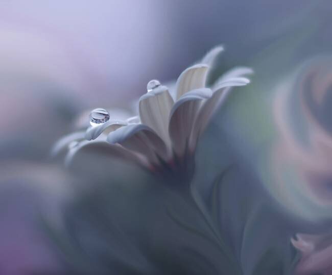 Behind Closed Eyes Juliana Nan