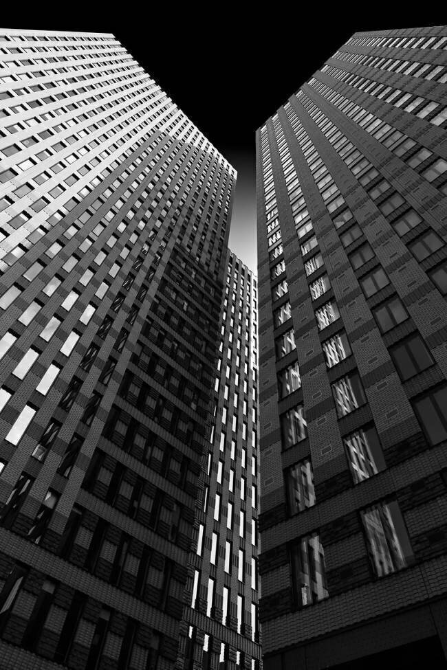 Between giants Greetje van Son
