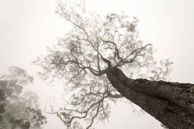 Between Heaven and Earth Karsten Wrobel