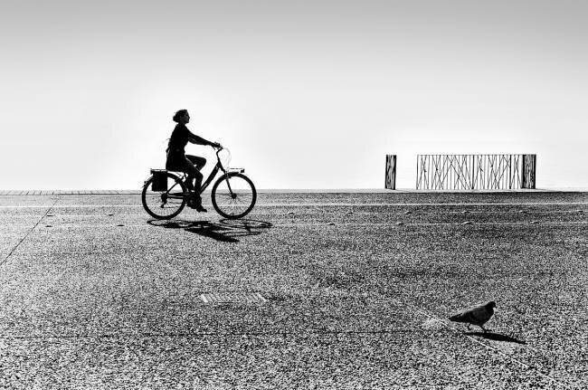 Bicycle Stories George Digalakis