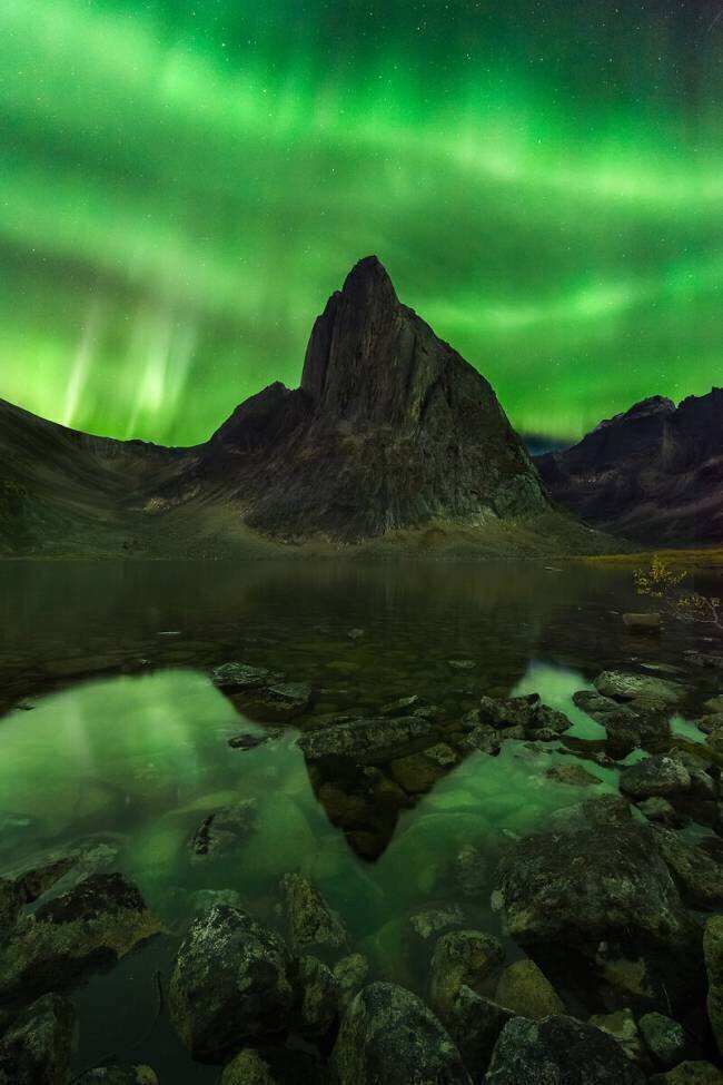 Blaze of Beauty Chris Moore