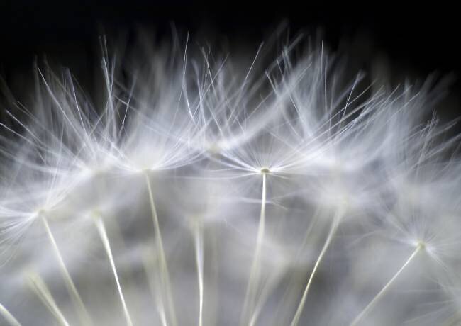 Blow it Peter Fallberg