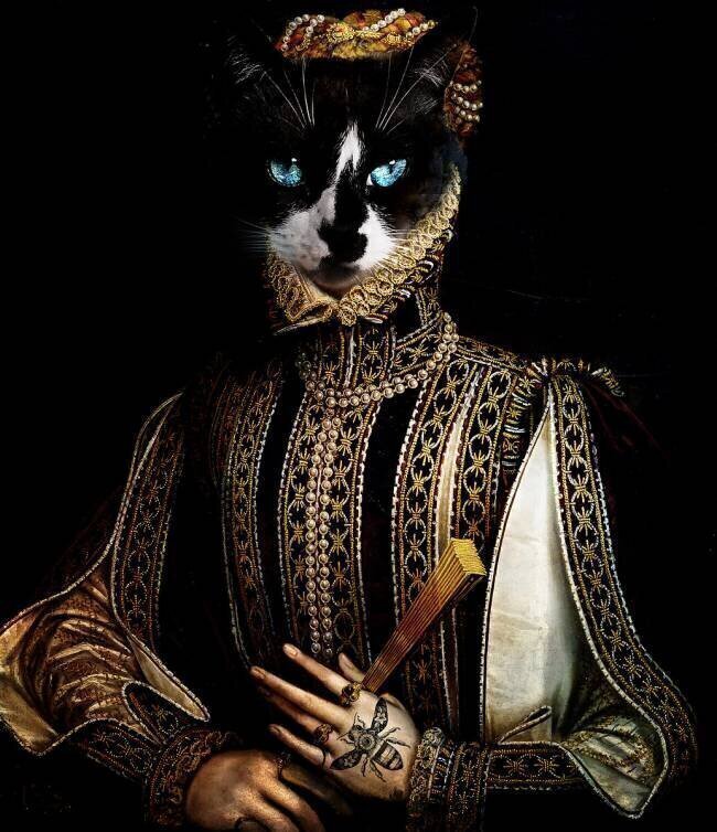 Blue Eye Cat Enza Paoli