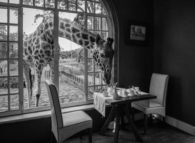 Breakfast time Jie Fischer