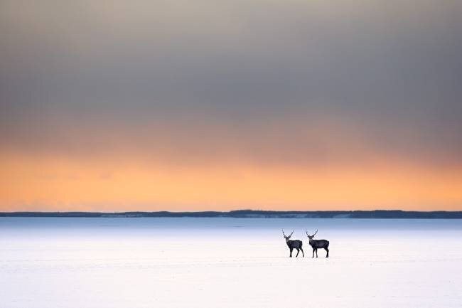 Brotherhood Eiji Itoyama