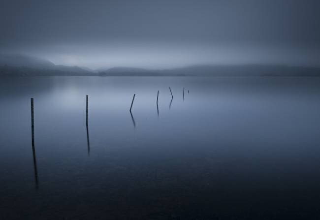 Calm David Ahern
