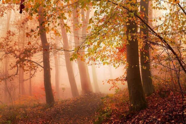 Calm walk in colors 