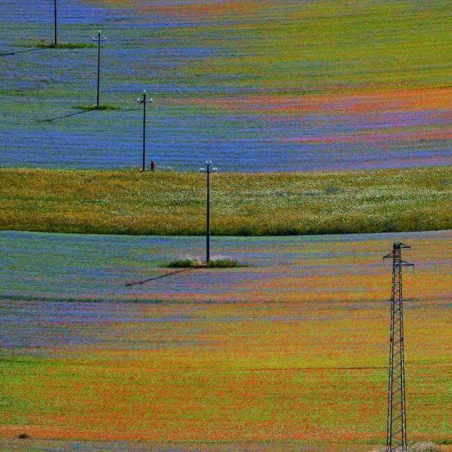Castelluccio 1 Massimo Della Latta