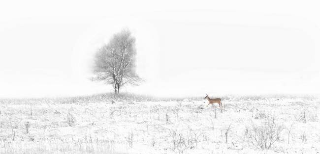 Christmas Coming Yu Cheng