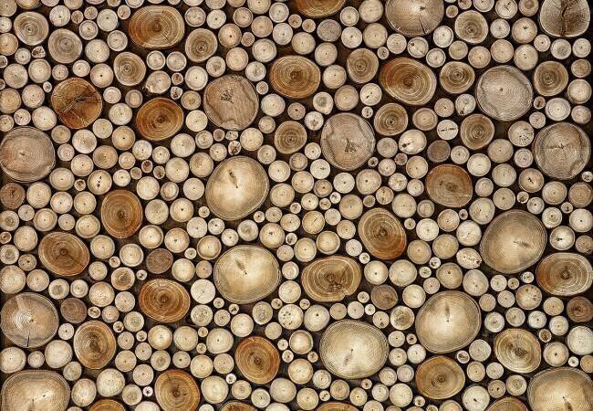 Circles Aida Ianeva