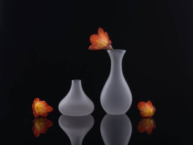 Clivia Qing Li