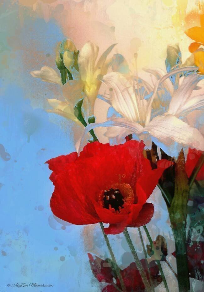 Coquelicot sur fond bleu AlyZen Moonshadow