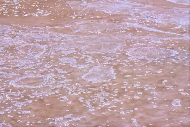 Crystallized salt in Puerto Real, Cadiz Pedro Fructuoso