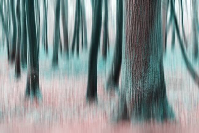 Dancing Trees Michael
