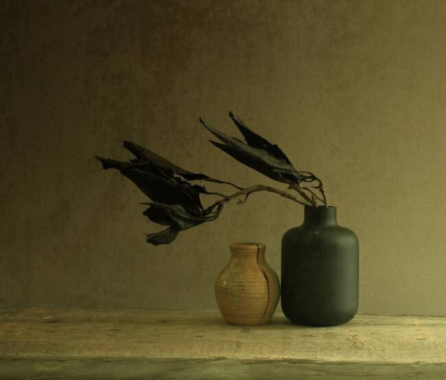 Dark matter Margaret Halaby