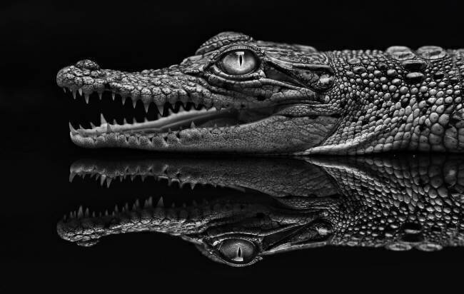 Dark Mirror Jeffriy Haryanto