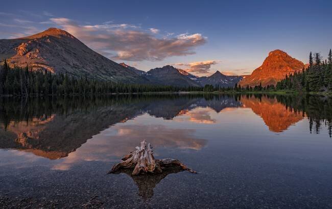 Delightful Dawn Lydia Jacobs