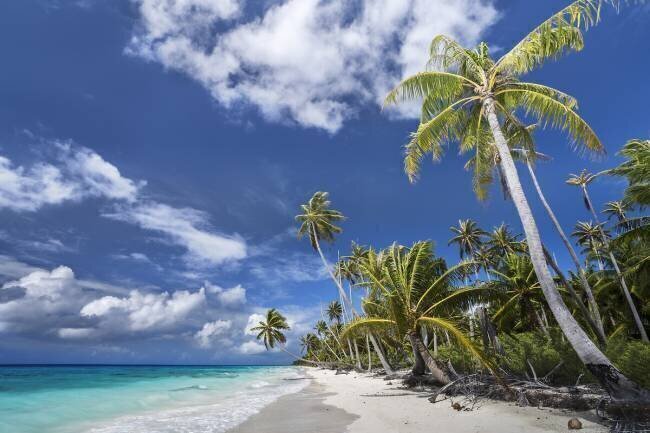 Desert Island Karsten Wrobel