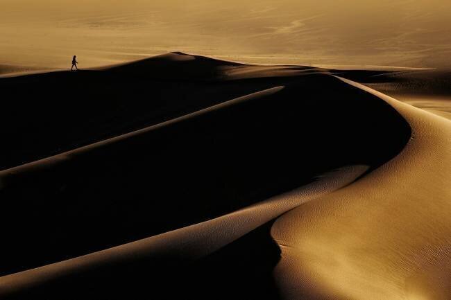 Desert one Mohammad Fotouhi