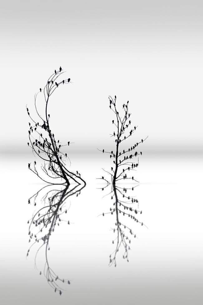 Dreamland 03 George Digalakis