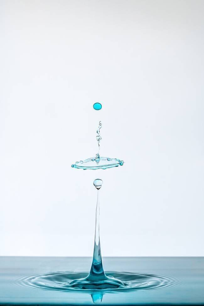 Drop Adamo Prieto