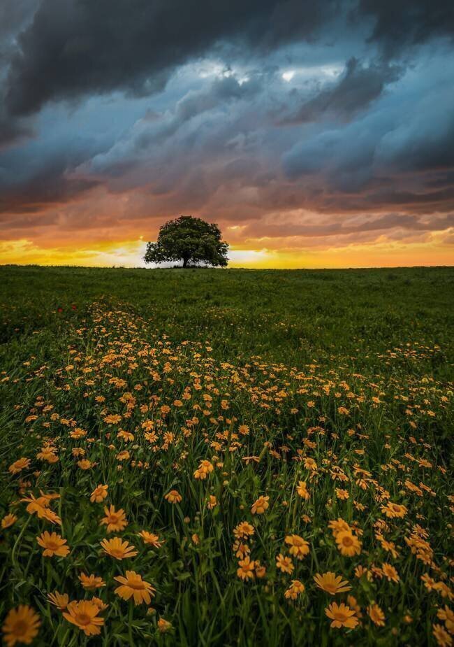 Faith a Nature Isam Telhami