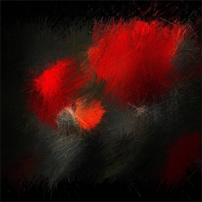 Fireworks in nature Gilbert Claes 