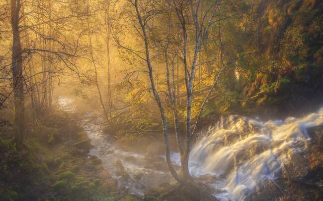 First light Rune Askeland