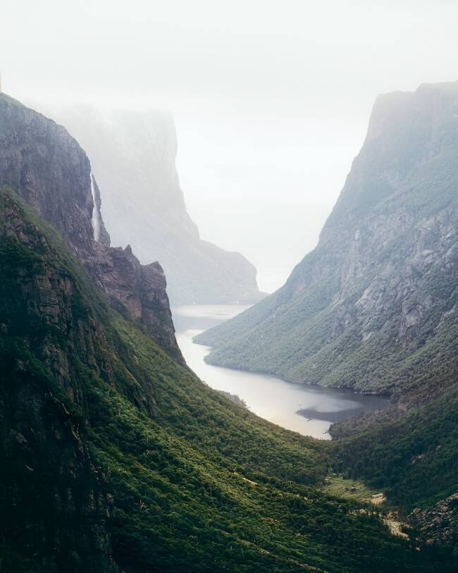 Fjord de Terre-Neuve David Fazaeli