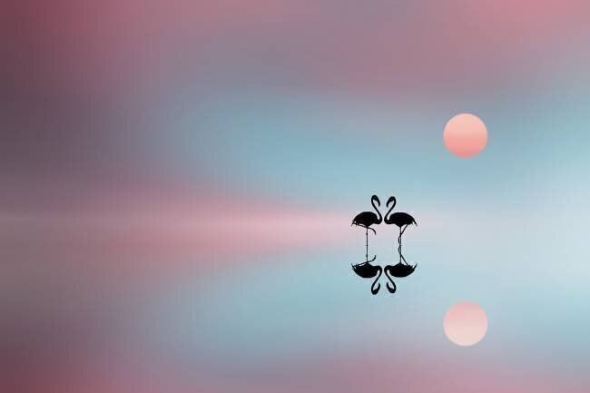 Flamingo Bess Hamiti