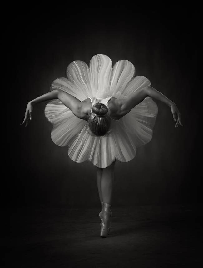 Floral Ballet Catchlight Studio