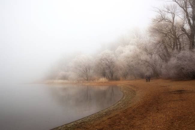 Fog and rime on the lake Hans Peter Rank