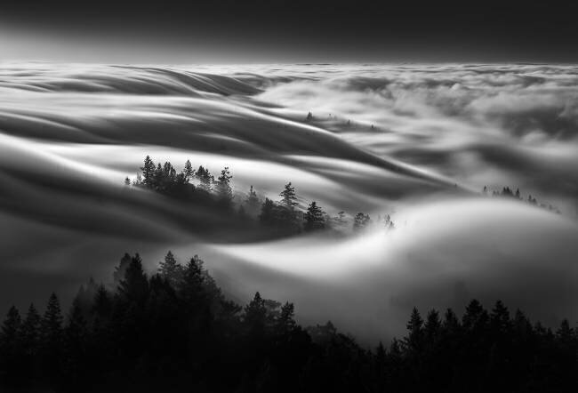 Fog Wave Aidong Ning