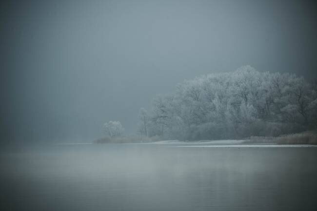 Foggy Renate Wasinger