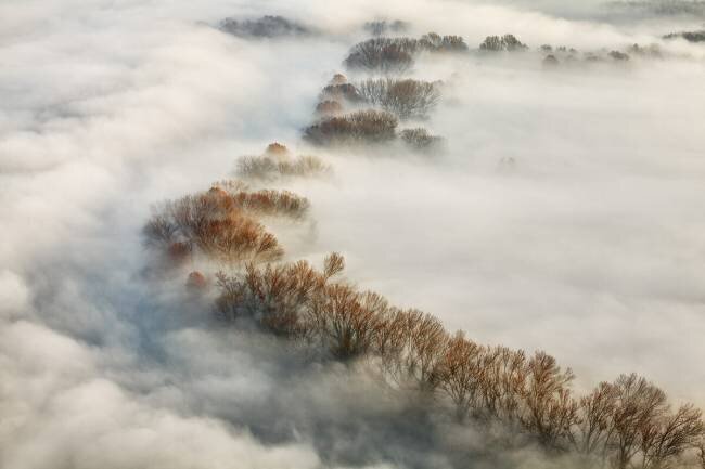 Foggy valley Fiorenzo Carozzi