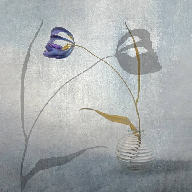 Fragile Stephan Ruckert