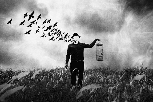 Freedom Jay Satriani