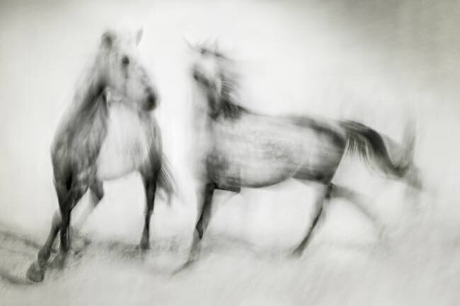 Frissons Martine Benezech