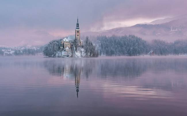 Frozen Fairytale Ales Krivec