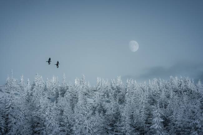 Frozen moon Daniel Mirlea