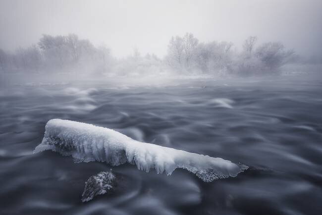 Frozen trunk Tom Meier