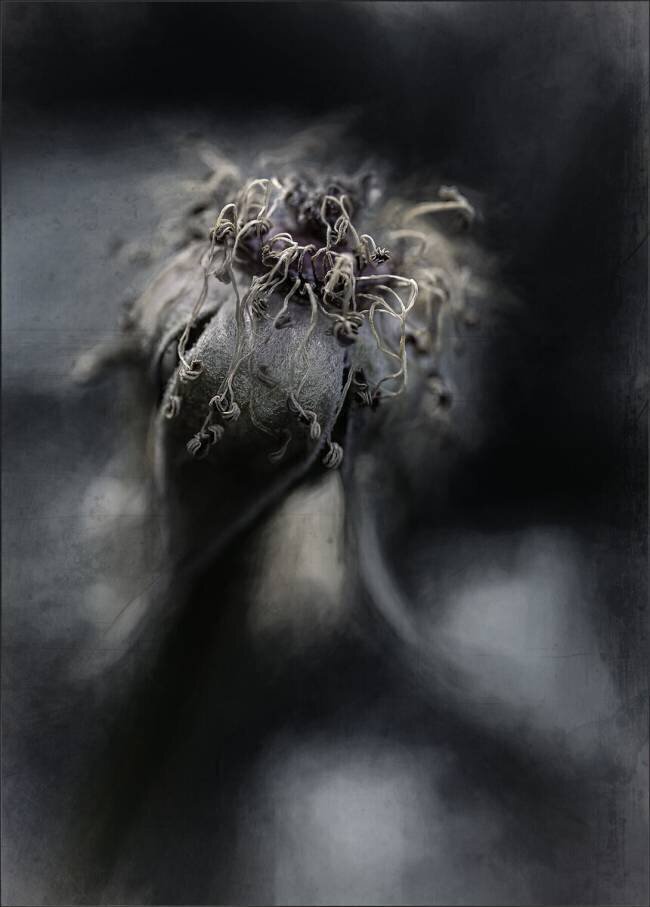 Game over Gilbert Claes 