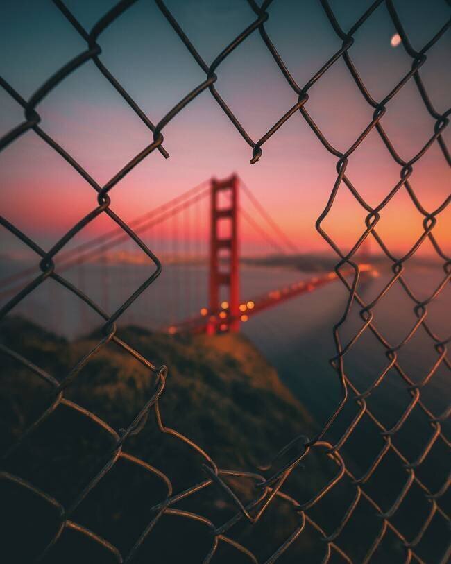 Golden Gate Caged David George