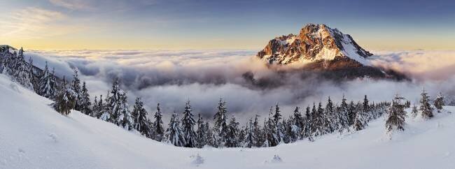 Golden Peak Tomas Sereda