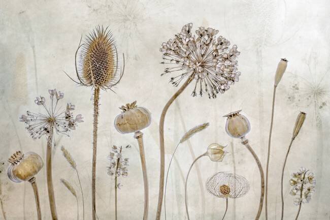 Growing old Mandy Disher