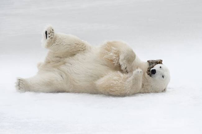Having fun Marco Pozzi