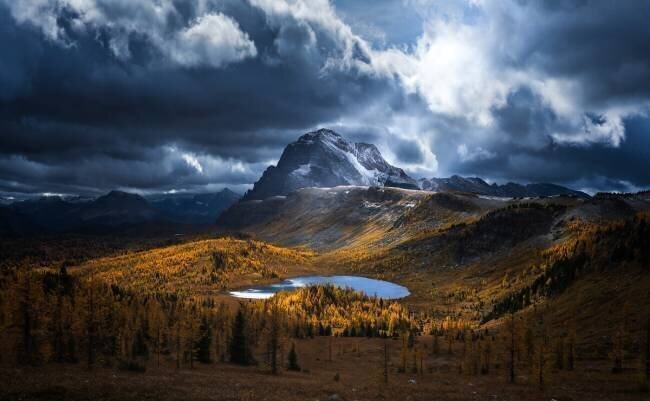 Healy Pass Golden Time Yongnan Li