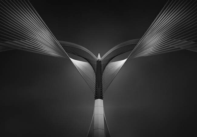 Heart of steel Ahmed Thabet
